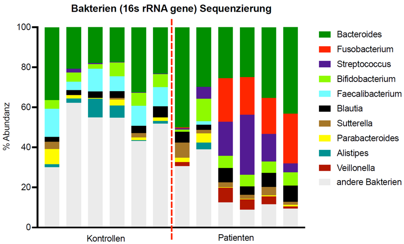 RP5 Bakterien - klein